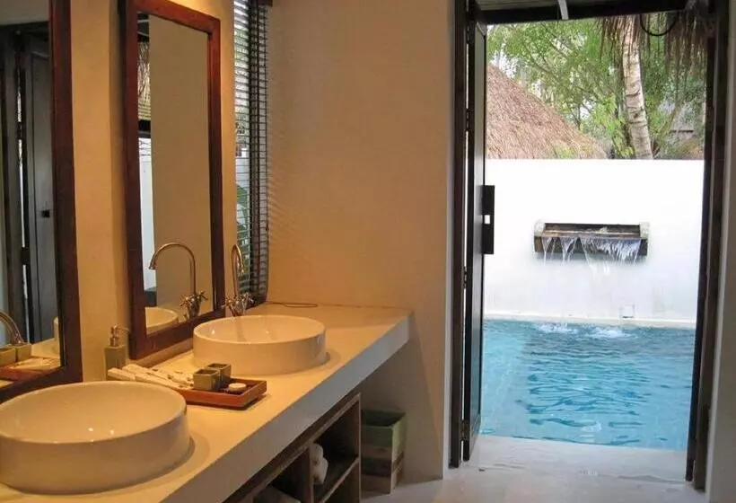 プール付き1ベッドルームヴィラ, Mimosa Resort & Spa