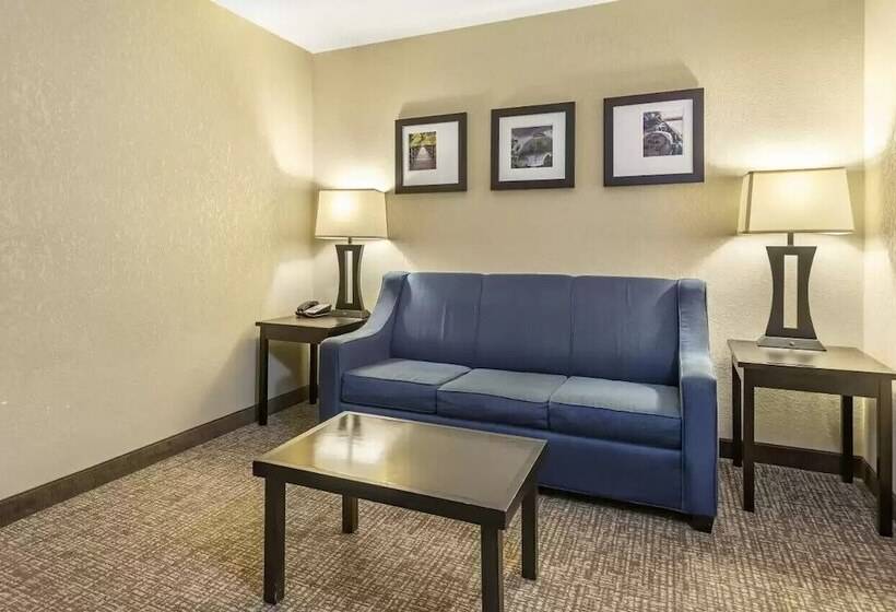 סוויטה, Comfort Inn & Suites Allen Park  Dearborn