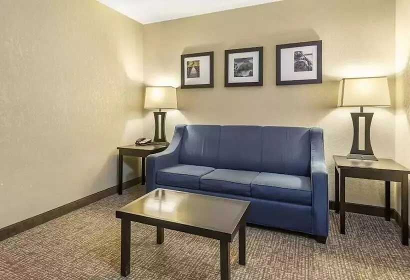 スイート, Comfort Inn & Suites Allen Park  Dearborn