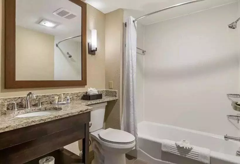 スイート, Comfort Inn & Suites Allen Park  Dearborn