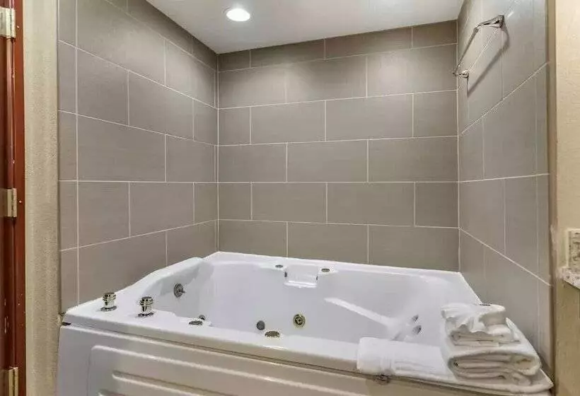 スイート, Comfort Inn & Suites Allen Park  Dearborn