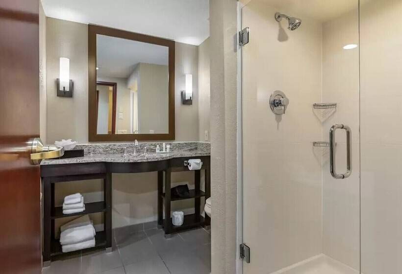 סוויטה, Comfort Inn & Suites Allen Park  Dearborn