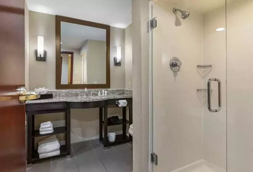 スイート, Comfort Inn & Suites Allen Park  Dearborn
