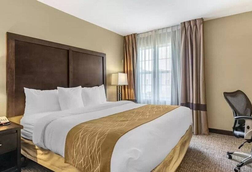 סוויטה, Comfort Inn & Suites Allen Park  Dearborn