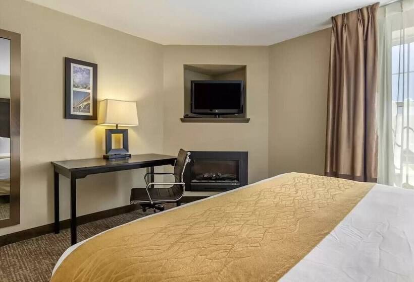 Люкс, Comfort Inn & Suites Allen Park  Dearborn