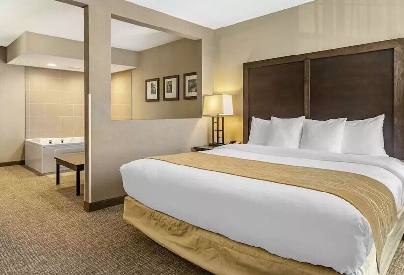 סוויטה, Comfort Inn & Suites Allen Park  Dearborn