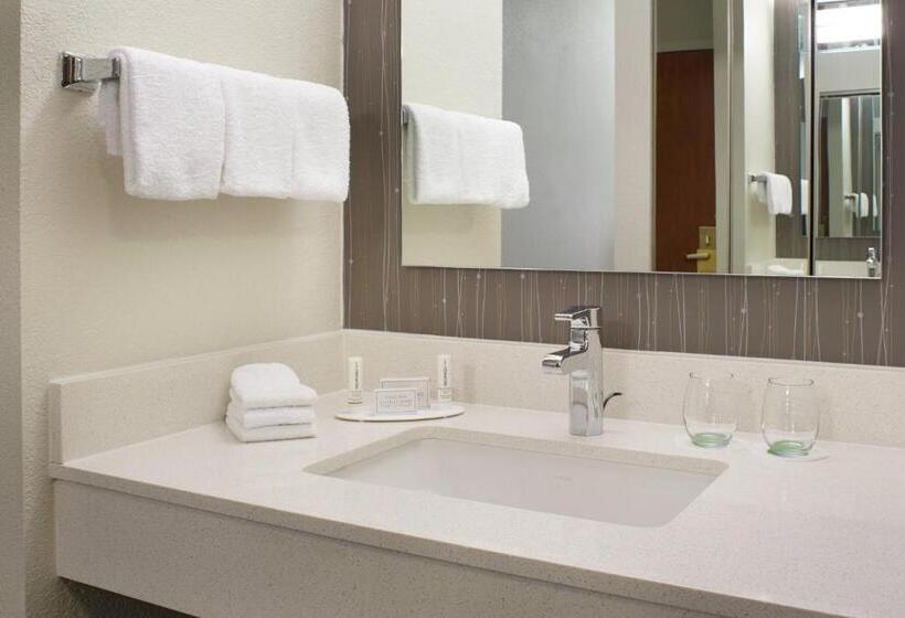 キングサイズベッドのスタンダードルーム, Courtyard Kansas City Overland Park/convention Center