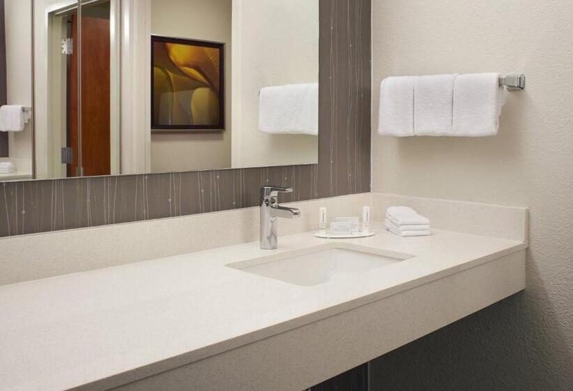 キングサイズベッドのスイートルーム, Courtyard Kansas City Overland Park/convention Center