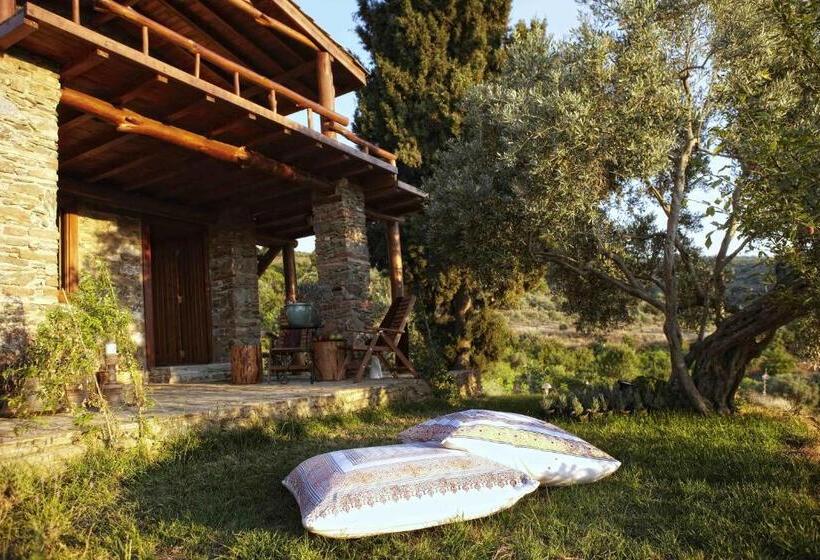 一居室别墅, Gullu Konaklari