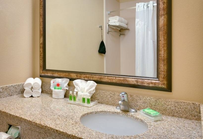 Люкс, Holiday Inn Hotel & Suites Salt Lake City Airport West By Ihg