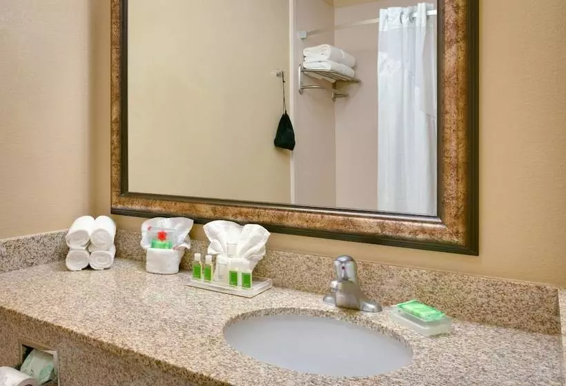 سوییت, Holiday Inn Hotel & Suites Salt Lake City Airport West By Ihg