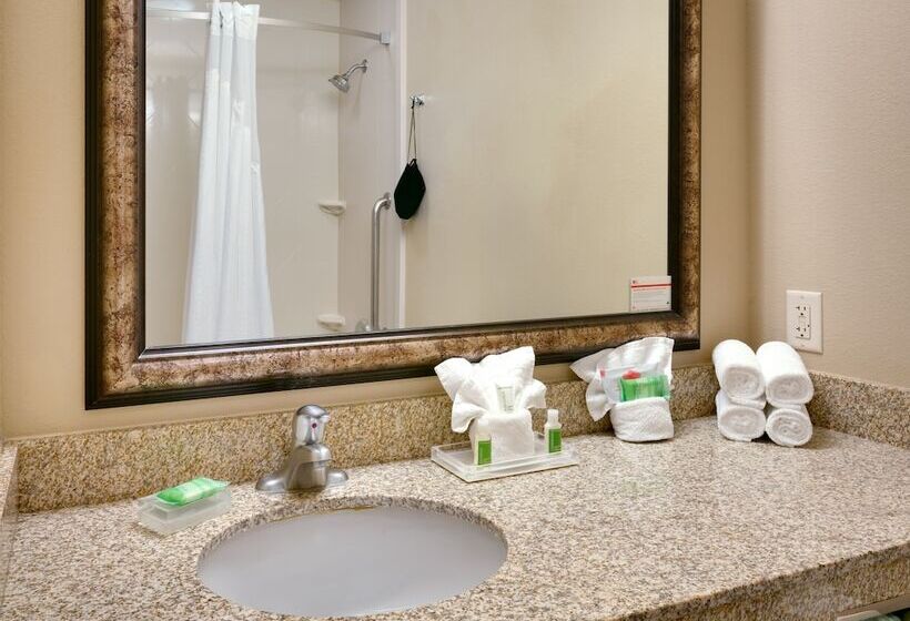 غرفة قياسية, Holiday Inn Hotel & Suites Salt Lake City Airport West By Ihg