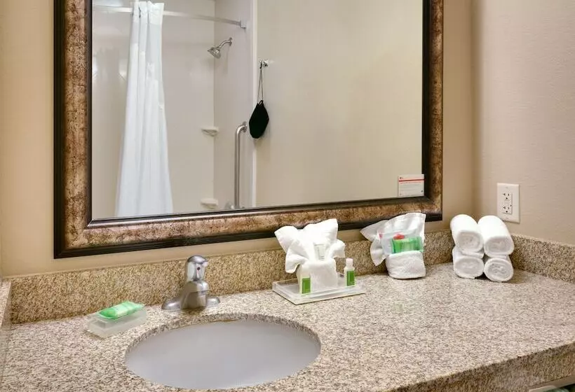 اتاق استاندارد, Holiday Inn Hotel & Suites Salt Lake City Airport West By Ihg