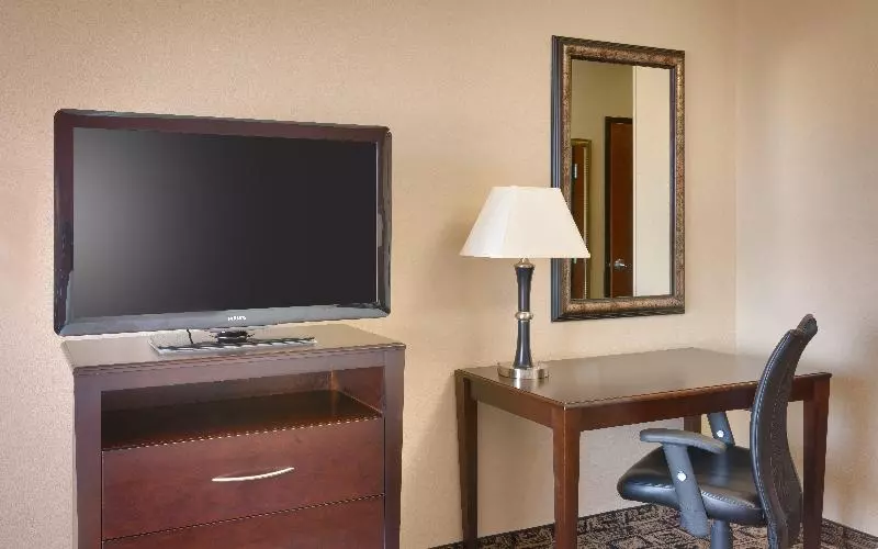 اتاق استاندارد با تخت بزرگ, Holiday Inn Hotel & Suites Salt Lake City Airport West By Ihg