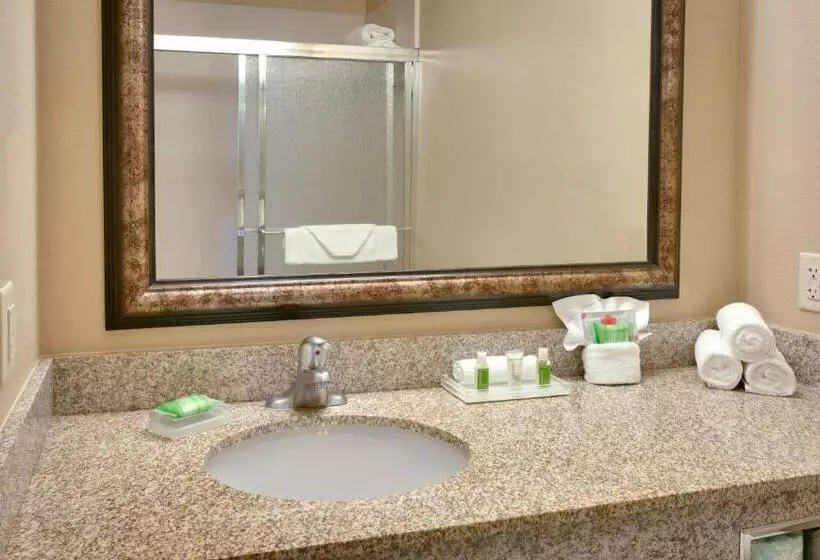 اتاق اجرایی با تخت بزرگ, Holiday Inn Hotel & Suites Salt Lake City Airport West By Ihg