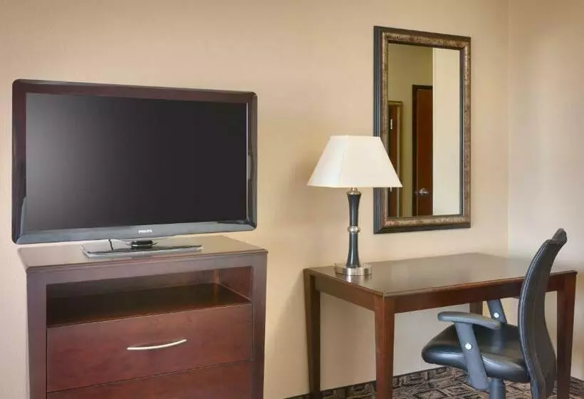 اتاق اجرایی با تخت بزرگ, Holiday Inn Hotel & Suites Salt Lake City Airport West By Ihg