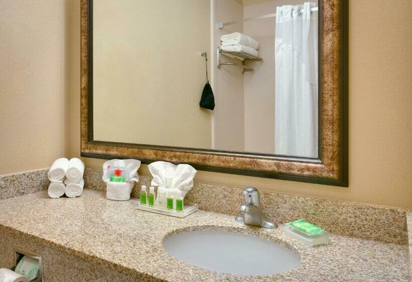 جناح سرير كينج, Holiday Inn Hotel & Suites Salt Lake City Airport West By Ihg