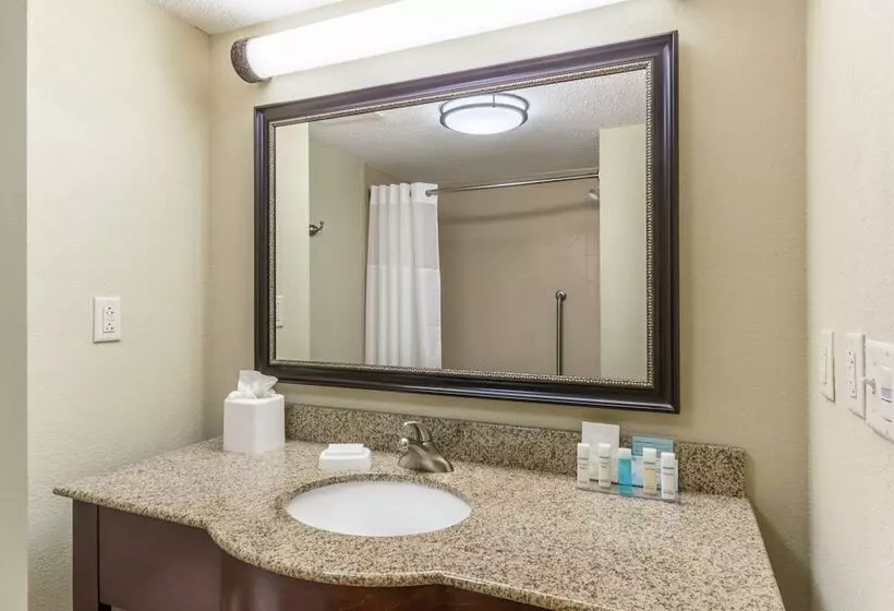 スタンダードルーム, Hampton Inn Chattanooganorth/ooltewah
