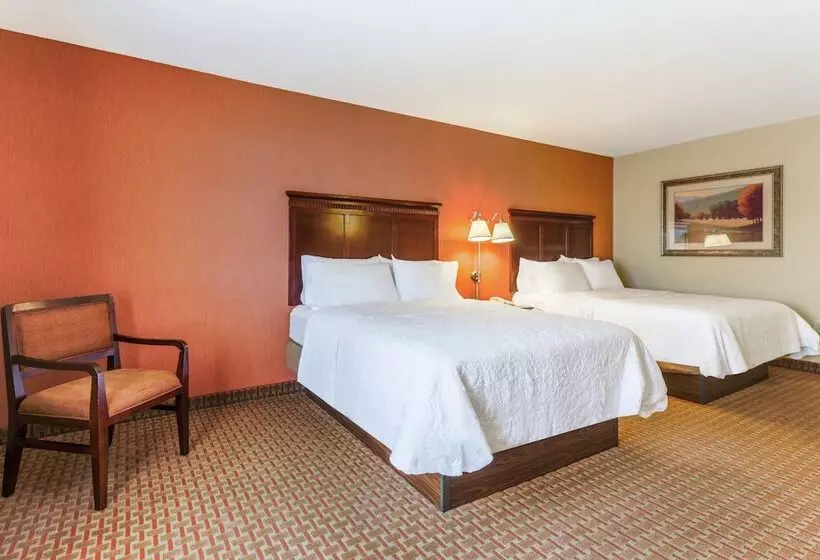 スタンダードルーム, Hampton Inn Chattanooganorth/ooltewah