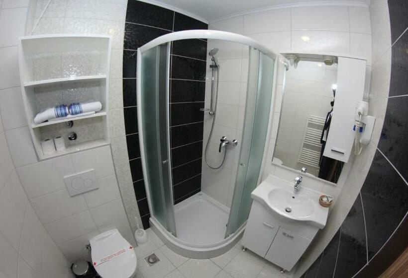 اتاق استاندارد, Bosna 1