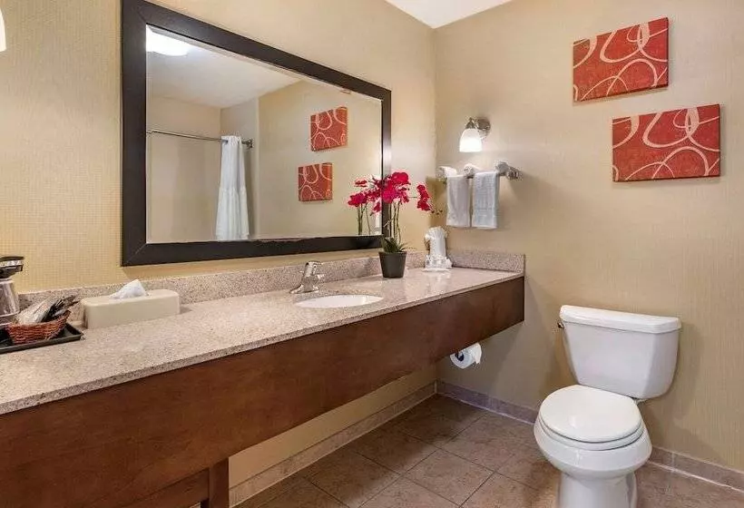 Sviitti, Comfort Suites Urbana Champaign, University Area