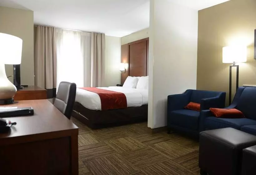 Sviitti, Comfort Suites Urbana Champaign, University Area
