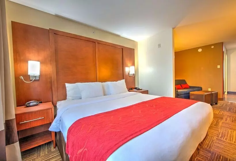 Sviitti, Comfort Suites Urbana Champaign, University Area