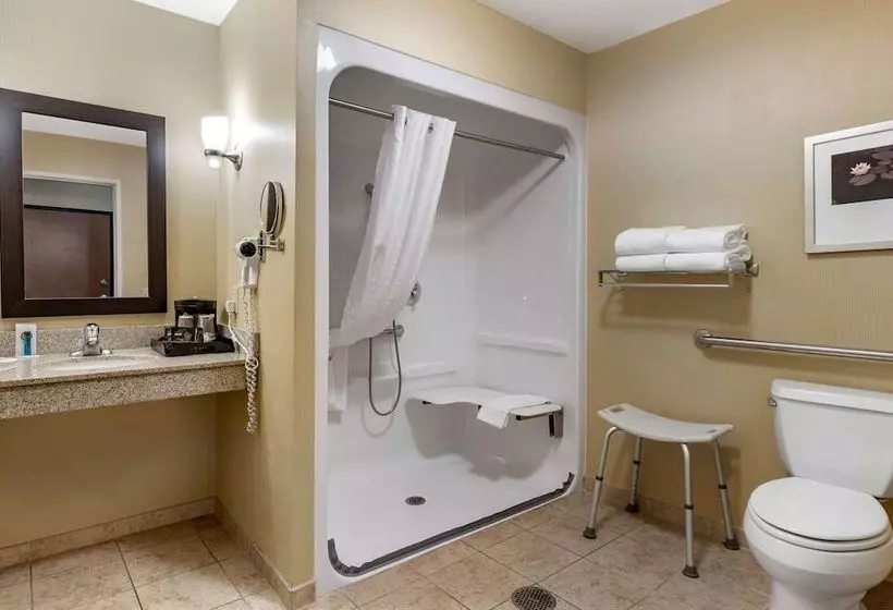 Sviitti Liikuntarajoitteisille, Comfort Suites Urbana Champaign, University Area