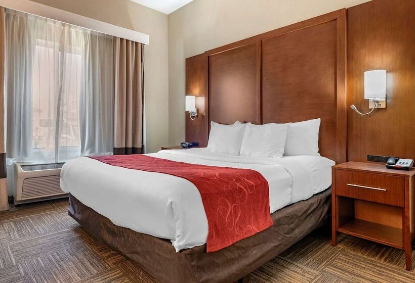جناح لذوى الاحتياجات الخاصة, Comfort Suites Urbana Champaign, University Area