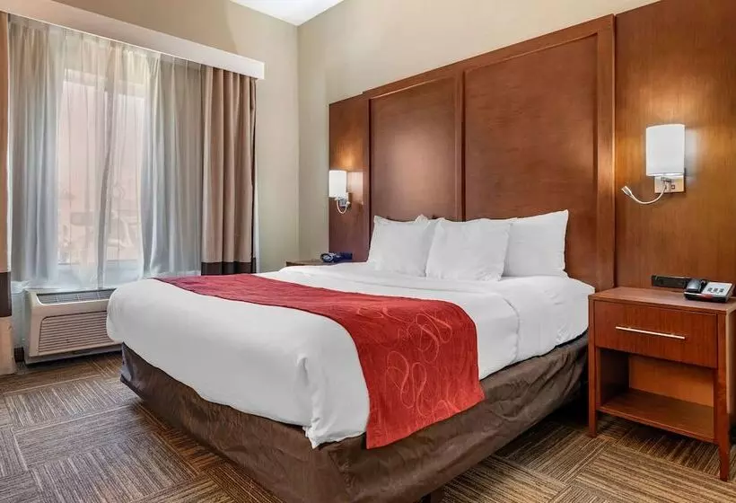 Sviitti Liikuntarajoitteisille, Comfort Suites Urbana Champaign, University Area