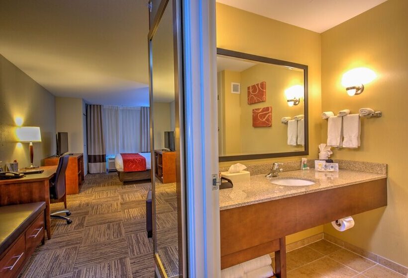جناح لذوى الاحتياجات الخاصة, Comfort Suites Urbana Champaign, University Area
