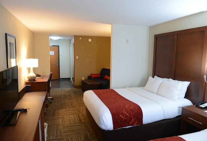 جناح لذوى الاحتياجات الخاصة, Comfort Suites Urbana Champaign, University Area