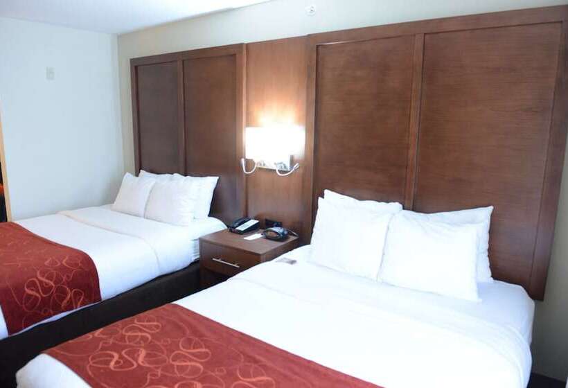 جناح, Comfort Suites Urbana Champaign, University Area
