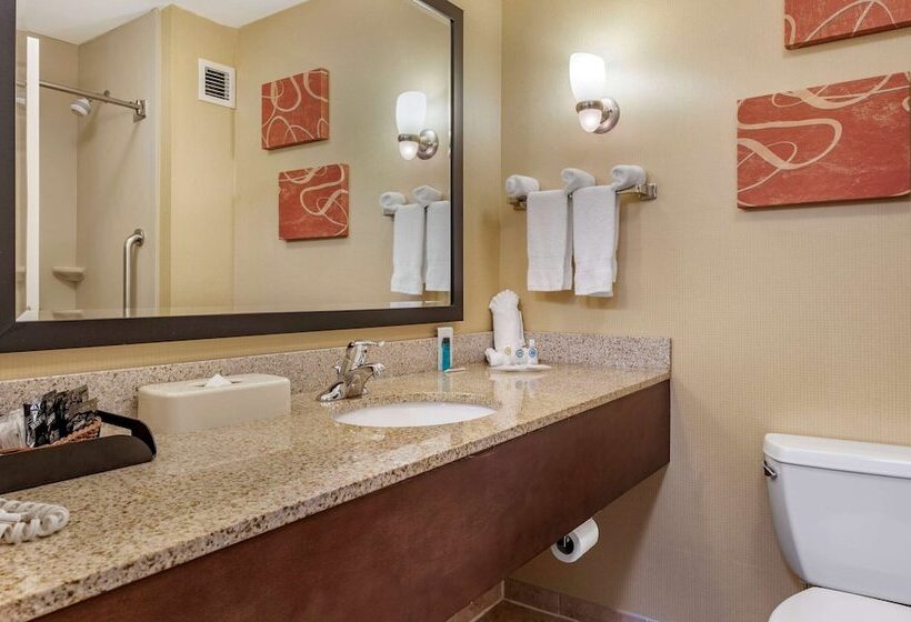 جناح لذوى الاحتياجات الخاصة, Comfort Suites Urbana Champaign, University Area