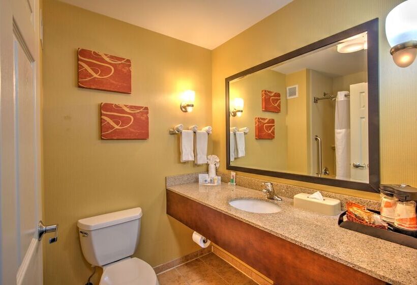 جناح لذوى الاحتياجات الخاصة, Comfort Suites Urbana Champaign, University Area