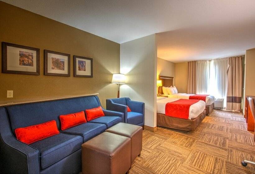 장애인을 위한 스위트, Comfort Suites Urbana Champaign, University Area
