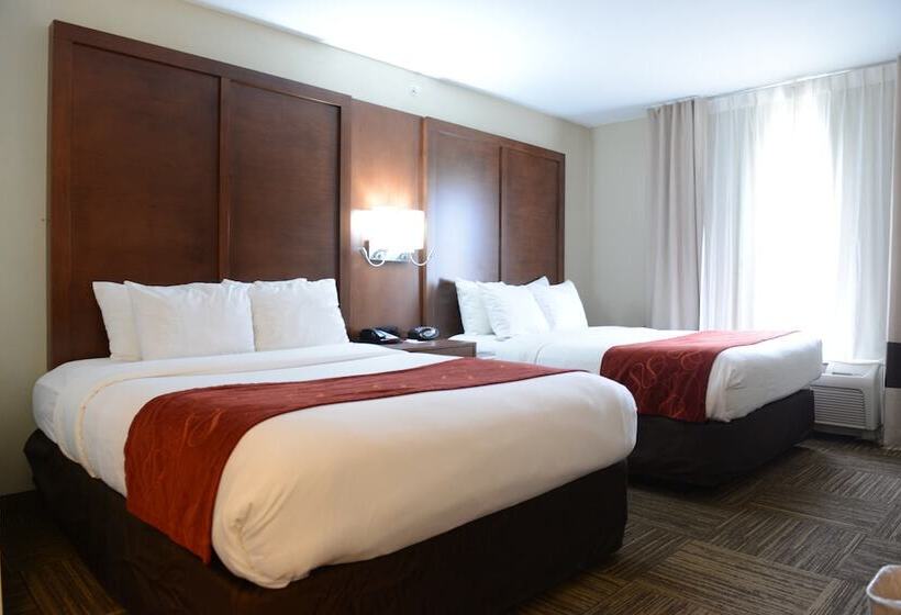 جناح لذوى الاحتياجات الخاصة, Comfort Suites Urbana Champaign, University Area