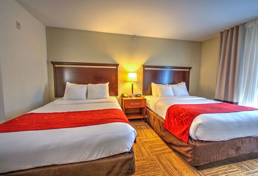 장애인을 위한 스위트, Comfort Suites Urbana Champaign, University Area
