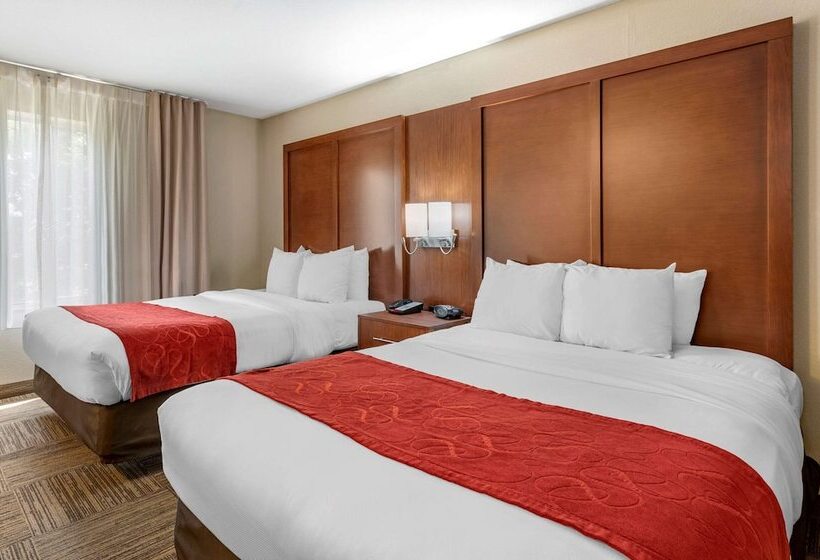 جناح لذوى الاحتياجات الخاصة, Comfort Suites Urbana Champaign, University Area