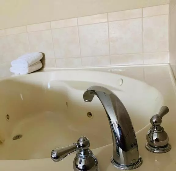 سوئیت با تخت بزرگ, Country Inn & Suites By Radisson, Ithaca, Ny