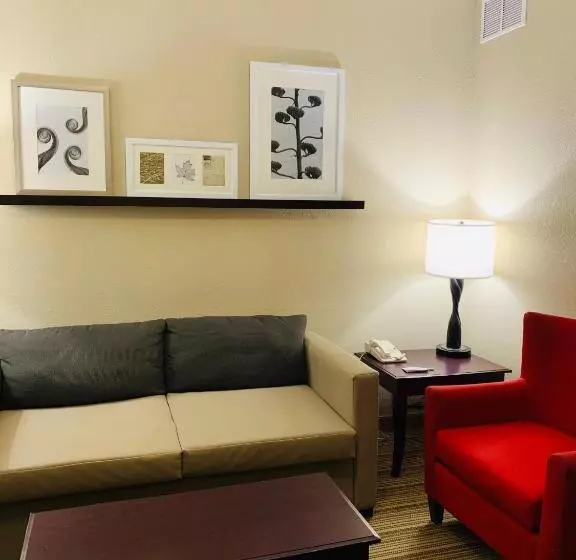 سوئیت برای معلولان, Country Inn & Suites By Radisson, Ithaca, Ny