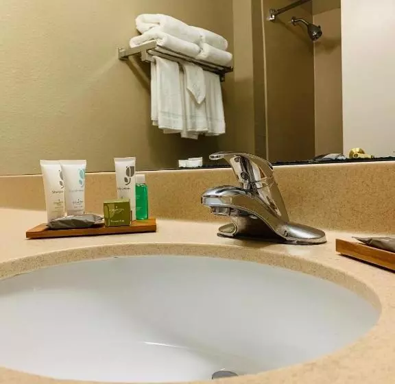 سوئیت برای معلولان, Country Inn & Suites By Radisson, Ithaca, Ny