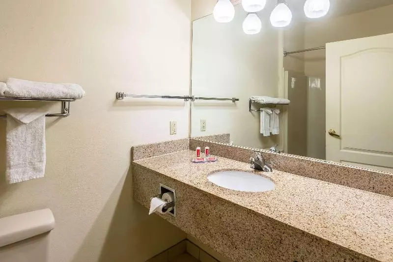 キングサイズベッドのスタンダードルーム, Econo Lodge  Inn & Suites