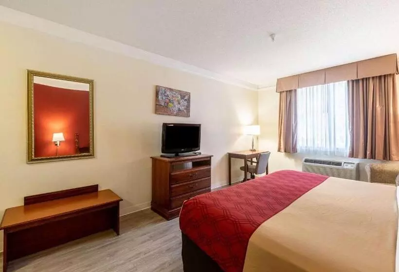 身障者適用キングサイズベッドルーム, Econo Lodge  Inn & Suites