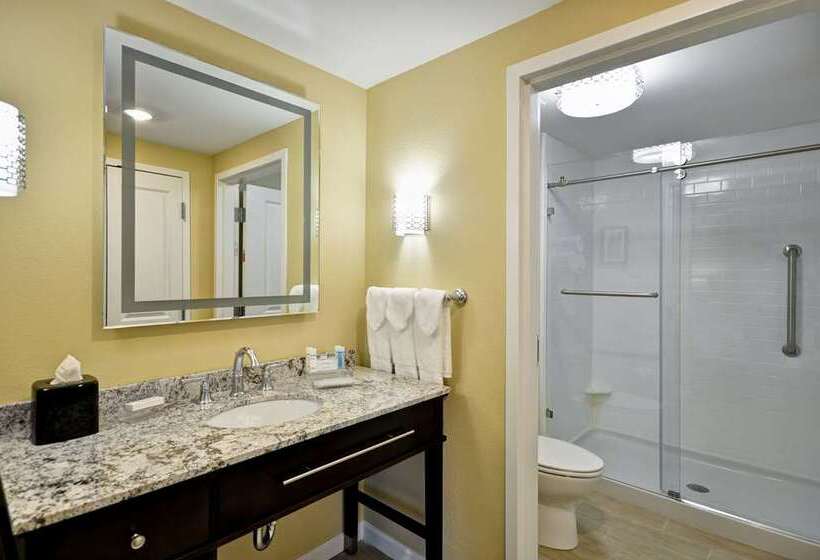 جناح, Embassy Suites By Hilton Sacramento Riverfront Promenade