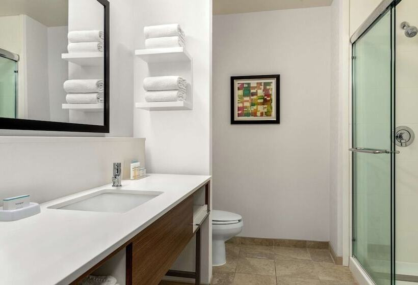 스탠다드 스튜디오 킹침대, Hampton Inn Athens