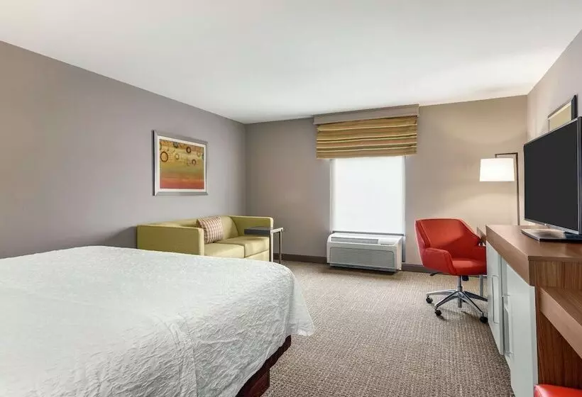 キングサイドベッドのスタンダードワンルーム, Hampton Inn Athens