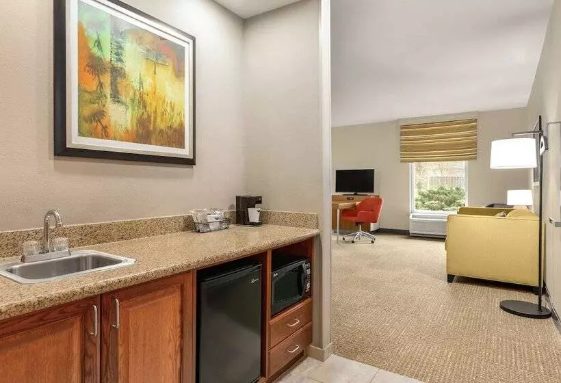 スタンダードスタジオ, Hampton Inn Athens