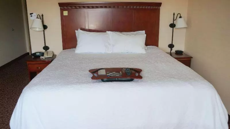 اتاق استاندارد با تخت بزرگ, Hampton Inn & Suites Kingman