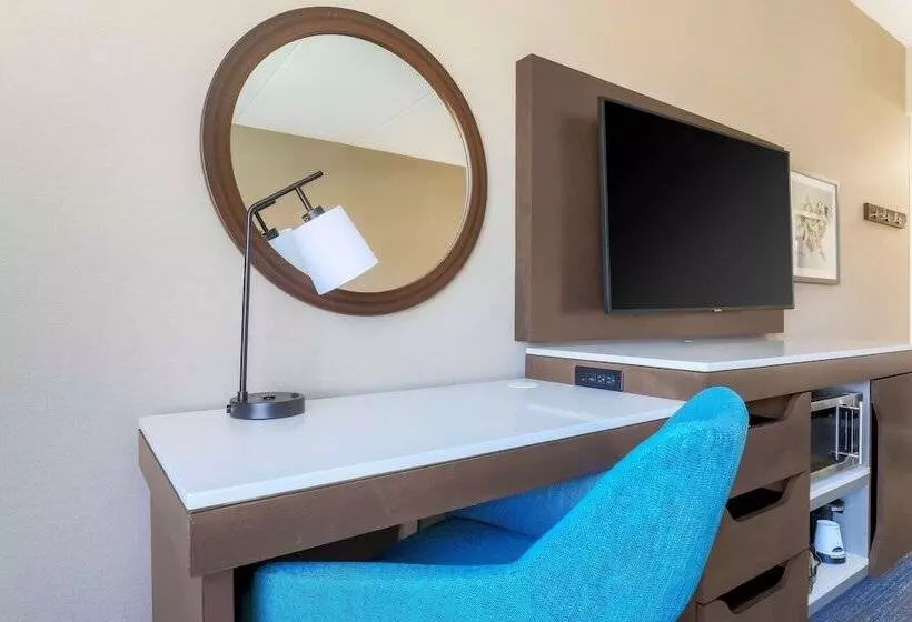 キングサイドベッドのスタンダードワンルーム, Hampton Inn & Suites Pittsburgh Downtown
